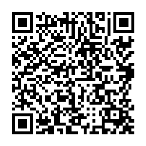 就连仔细观战的另外两位域主都没有察觉到这一拳到底是怎么轰出去的二维码生成