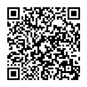 就连他们一开始并没有太重视的杨凌等人也表现出了让人惊艳的实力和能力二维码生成