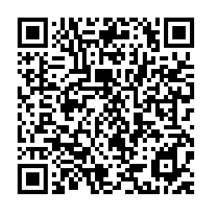 就连他们的下路组合uzi和zero在见到小龙没了以后也立即换到了上路二维码生成