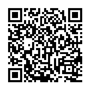 就连公安局的领导也不愿意轻易得罪沈飞这样背景过硬的关系户二维码生成