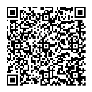 就连刚入学时最胆小的两个女生也在这整体大环境的影响下说话就是老娘如何如何老娘一脚把你给如何如何二维码生成