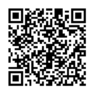 就连刚刚学了没两个月的学徒也都不得不带着设备一起租出去了二维码生成