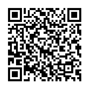 就连刚才一本正经的班主任也都不由的露出一个哭笑不得的表情二维码生成