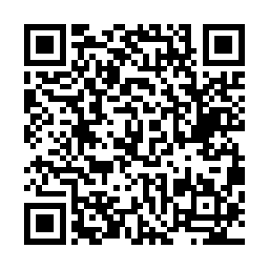 就连原本任琦宁信任的手下将领心中也开始有些摇摆不定了二维码生成