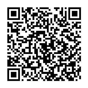 就连后方攻击娄静之的大汉都在挡了一下以后几乎握不稳手中的三截棍二维码生成