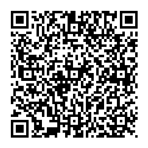 就连周可儿在看完这两场比赛做赛后总结时都不得不指出了以后任何队伍在打lcd时都绝对不能让中路肥起来二维码生成