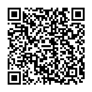 就连在他们看来给玄天奥和华羽下达命令的许紫烟也没有资格如他们的法眼二维码生成
