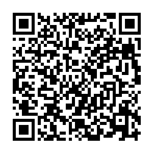 就连基伦·雷斯维尔和高林在训练之余都会讨论一下世界杯的事情二维码生成