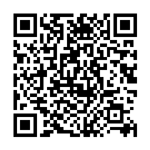 就连塔罗斯都在暗中打算如何修复他们之前有些冷淡的关系二维码生成
