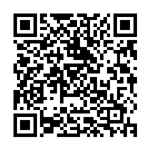 就连天天笑眯眯脾气好的一塌糊涂的凌菲也会在他们受伤的时候二维码生成