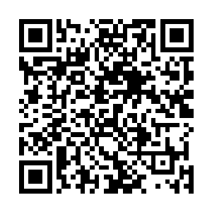 就连孙家和夏家那两个不世出的顽因也被他狠狠地修理了二维码生成