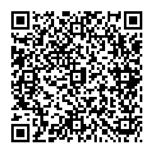 就连已经完全融入了昌州生活觉得自己至少从表面上已经完全变成了昌州女孩儿的石梅在甄妮面前都有一种自卑感二维码生成