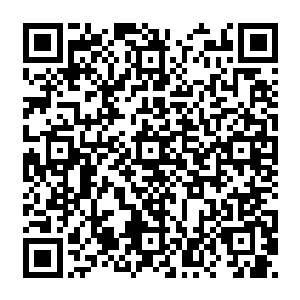 就连巴普蒂斯塔在传球的时候都没太抱希望――之前这样漫无目的的传球有太多都传丢了二维码生成