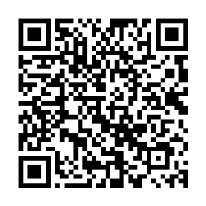就连当地的土著也是要用匕首在树上削掉皮来做记号才不会迷路二维码生成
