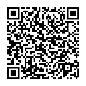 就连我们这些入每年审议预算时还不是一样对你们财政收入支出云里雾里二维码生成