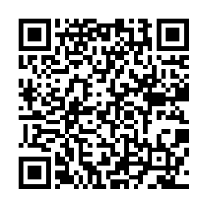 就连我到现在都没有搞懂他为什么不干活却生活的无忧无虑二维码生成