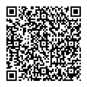 就连昔日疼他爱他的外祖母如今也只对他袖手旁观……身边只有对他虎视眈眈的继母跟弟弟……谢姝宁头一次觉得二维码生成