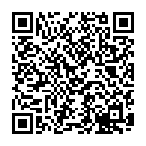 就连林家花巨资置办的京城府邸里面的灵气跟皇城里面的灵气一比都要逊色许多二维码生成