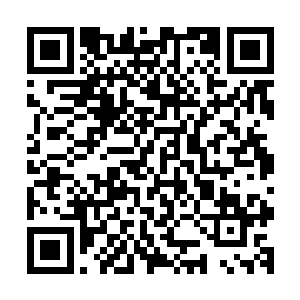 就连此时正在遭受攻击的仙主宫的宫主仙主都站在了洞府之外二维码生成