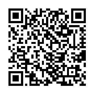 就连浪里格和孙七指也在慢慢的改变自己固有的行动举止二维码生成