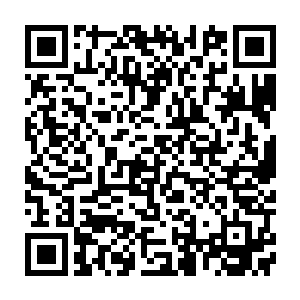 就连见惯了各种离奇比赛的白色月牙在此刻也有些承受不住这份巨大的心理刺激二维码生成