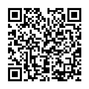 就连识海中的神之符文和万灵塔的感应也再次清晰而鲜明了起来二维码生成