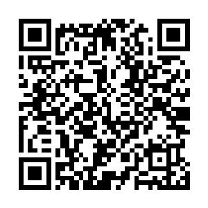 就连过年回家都是带着笑模样和电影里的笑话段子回去的二维码生成