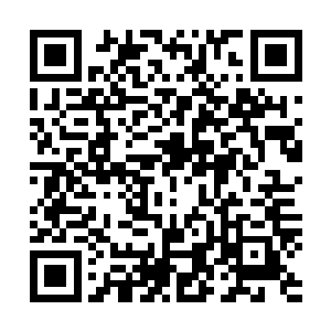 就连那八件散发着璀璨光辉和能量波动的法宝也是光芒一暗二维码生成