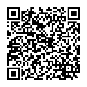 就连那巨神兵也可以在这里面动用许多不方便在外面暴露的虫族力量二维码生成