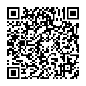 就送给我们这么多神医灵丹……虽然我不确定这些灵丹的真实级数二维码生成