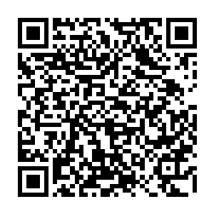 就透过车窗看见好几张经常在电视上出现的熟悉面孔从他们车子前方经过二维码生成