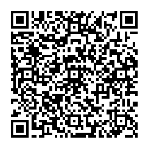 尸体下方的土地突然裂开仿佛一个巨大无比的怪兽张开了嘴巴似的现出一个巨大的口子将几具尸体二维码生成