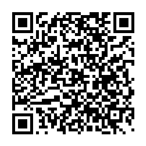 尸体鲜血还有大量的人体碎片简直如同上演了一出现实版的恐怖片一样二维码生成