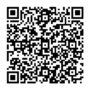 尸魔族强者是如何也没有预料到在自己追杀之下仓皇逃窜最后不得不借助杀戮巨兽群的人二维码生成