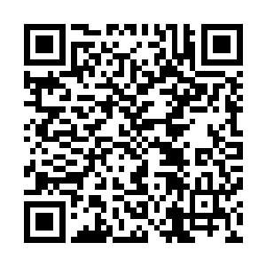 尹国钊否决了秦宝华担任蠡泽新区筹建领导小组组长的意见二维码生成
