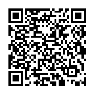 尹家以非凡的经济实力和已经在政坛崛起的族人做为依托二维码生成