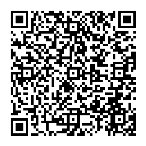 尼奥剧烈的咳嗽了起來 他用手帕捂着嘴 不停的咳嗽 而那张手帕 本來只是一点点的血色 随着肯蒂二维码生成