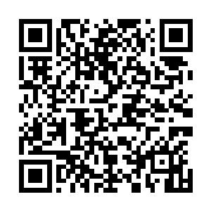 尽可能地从这两位域主口中打探墨族如今所掌握的一些情报二维码生成