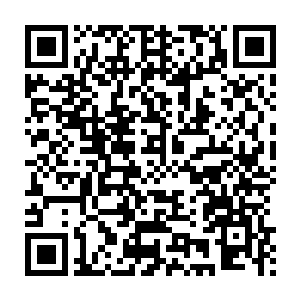 尽管不知道流墨墨其实是担心他把翅膀弄折了在这儿会少一个战斗力二维码生成