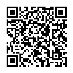 尽管交通队通过校内引援也拼凑出一支不错的队伍二维码生成