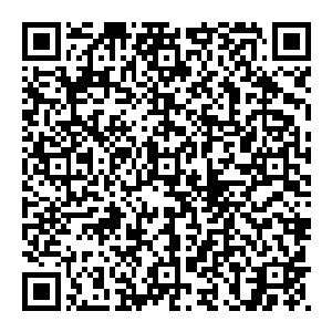 尽管其变若小师弟已然走到强弩之末那就算是拼着同归于尽我也会出手的并不是说我现在什么都不说就代表着我内心冷漠二维码生成