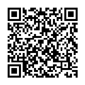尽管到现在为止老哈从来没有给自己打过任何电话过问过这件事二维码生成