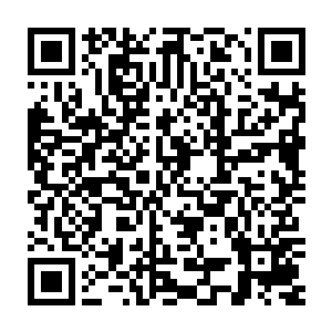 尽管努比斯以燃烧本源精气为代价换取的速度依然比不上后面的追兵二维码生成