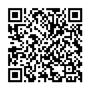 尽管在战斗之前杨开便已叮嘱过族人们战斗之时下手不能留情二维码生成