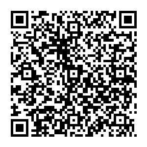 尽管妮可已经竭尽全力的让自己保持严肃和威压但是似乎眼前的这个来自东方的少年却就是一点都不畏惧自己二维码生成