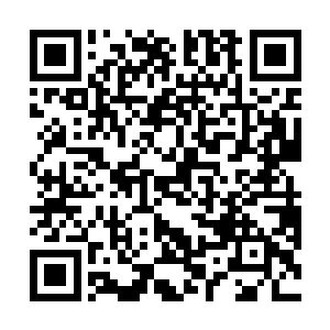 尽管对这种类型的敌人杀伤效果并不如珍贵的灵力子弹二维码生成