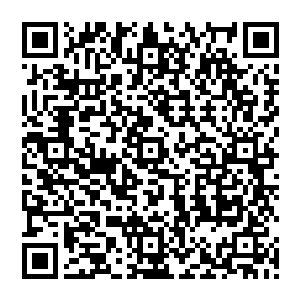 尽管小精灵再三保证那位假死的龙神哈特森不会发现这东西――前提是马文不主动招惹他的话二维码生成