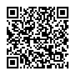 尽管巴博思几乎已经爆发出了自己最强横的实力了二维码生成