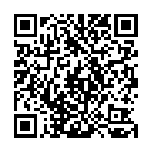 尽管曾经从她父亲那里得到了从未有过的轻蔑与刻意的忽略二维码生成