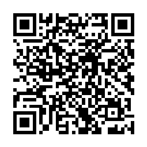 尽管比起燕京城中诸如司徒问天之类的几个耀眼的天才来二维码生成